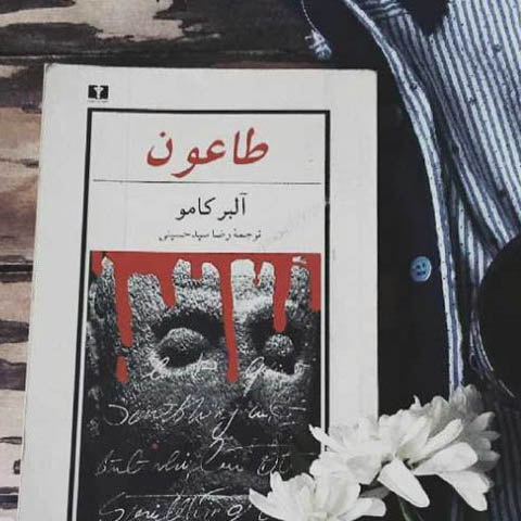 نقد طاعون کامو